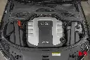 _DSC5803.webp