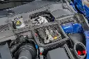 hide__DSC7172.webp