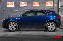 _DSC8533.webp