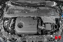 _DSC8557.webp