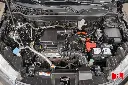 _DSC8917.webp