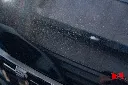 hide__DSC8925.webp