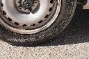 hide__DSC9047.webp