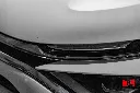 hide__DSC9109.webp