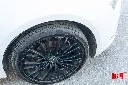 hide__DSC9776.webp
